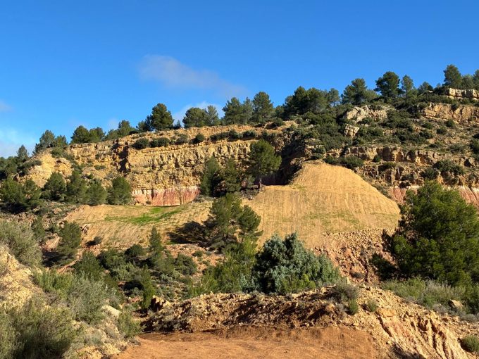 WhatsApp Image 2025-11-24 at 14.39.03